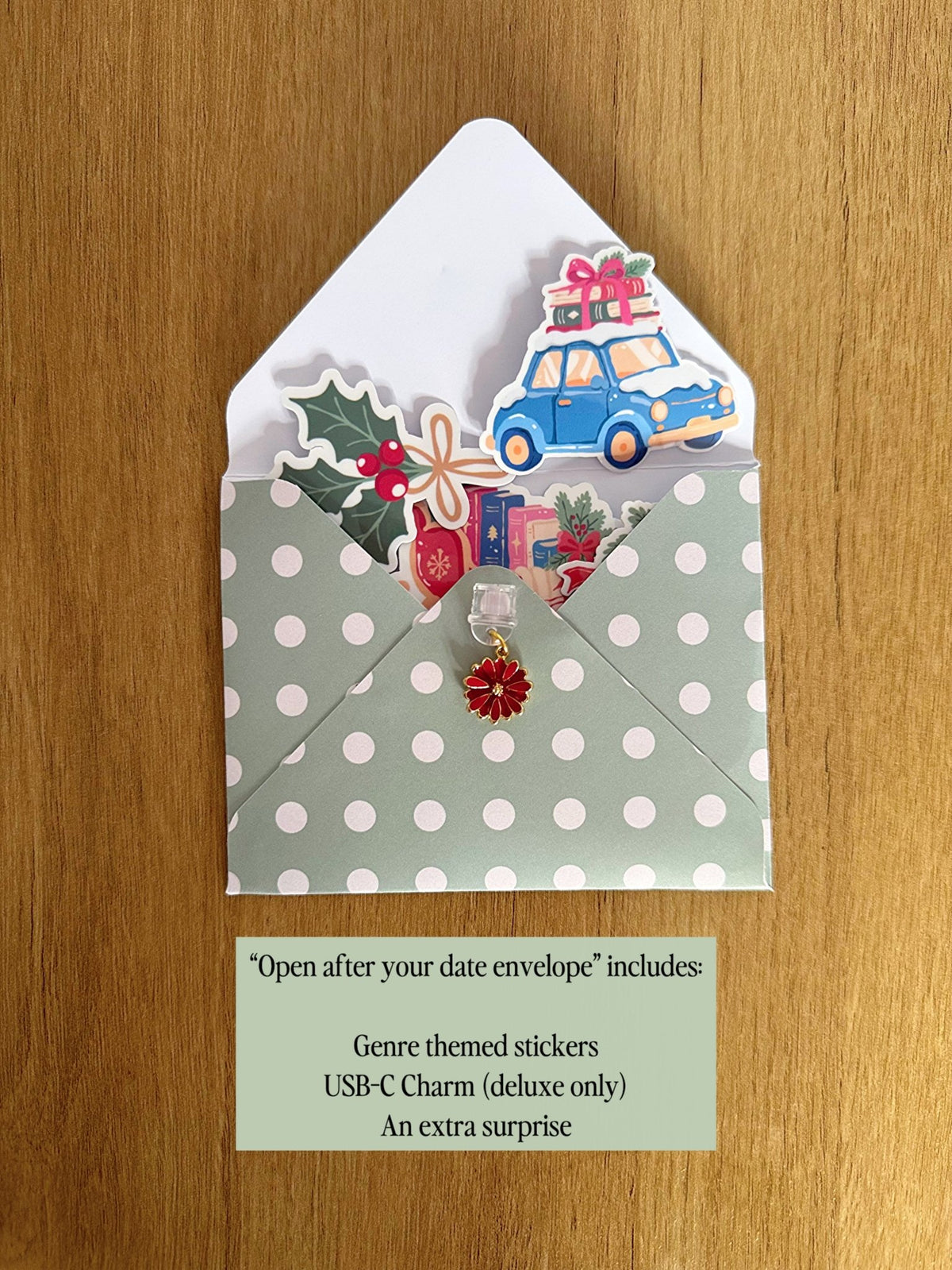 Limited Edition Christmas Blind Date With A Book - Coquette Cloud Co