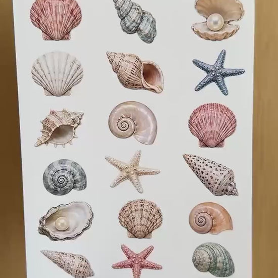 Seashell Sticker Sheet, Coastal Stickers, Beach Scrapbook Stickers, Ocean Journal Stickers, Summer Planner Decor